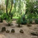 Les urnes de Carthage