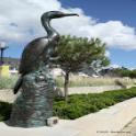 Le cormoran de Concarneau