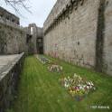 Concarneau / Parterre de fleurs de la ville close