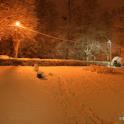 Hiver 2010-2011